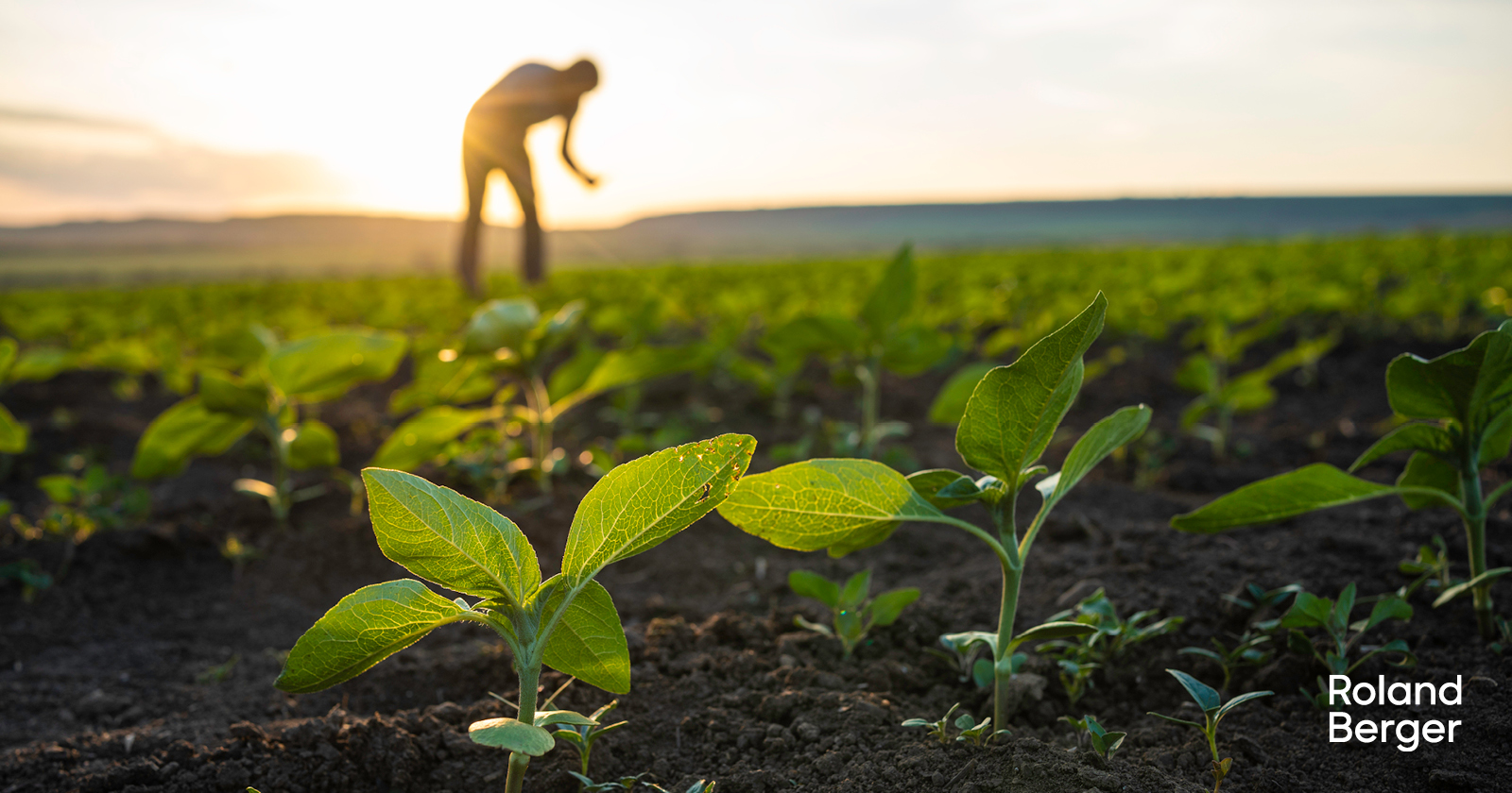 Regenerative Agriculture for Small Farms: Practical Practices That Protect Profit